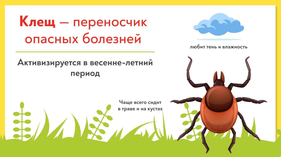 Осторожно клещи! Осторожно клещи!.
